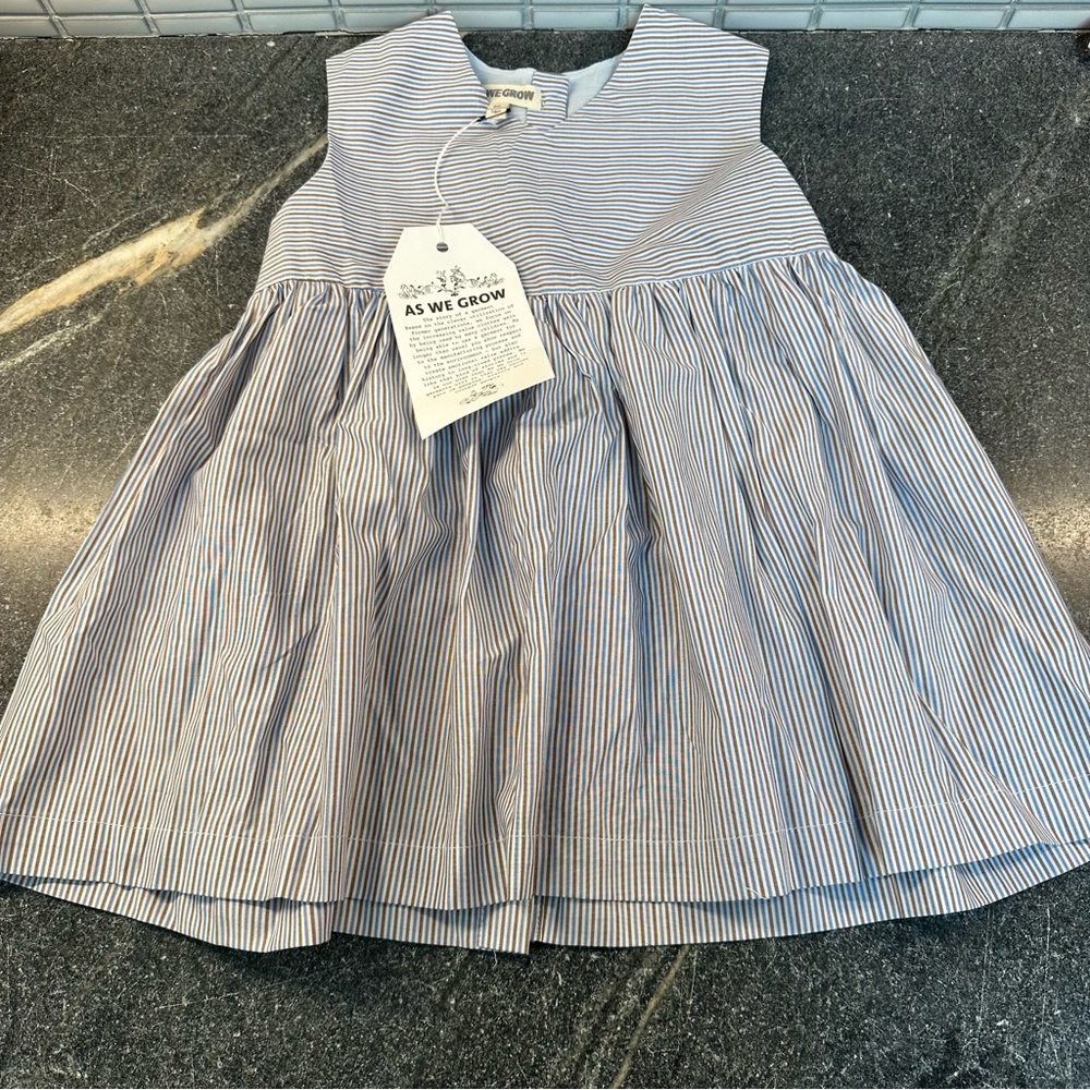 As We Grow Sleeveless Dress